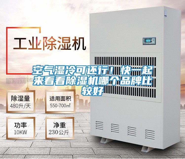 空氣濕冷可還行！快一起來看看除濕機(jī)哪個品牌比較好