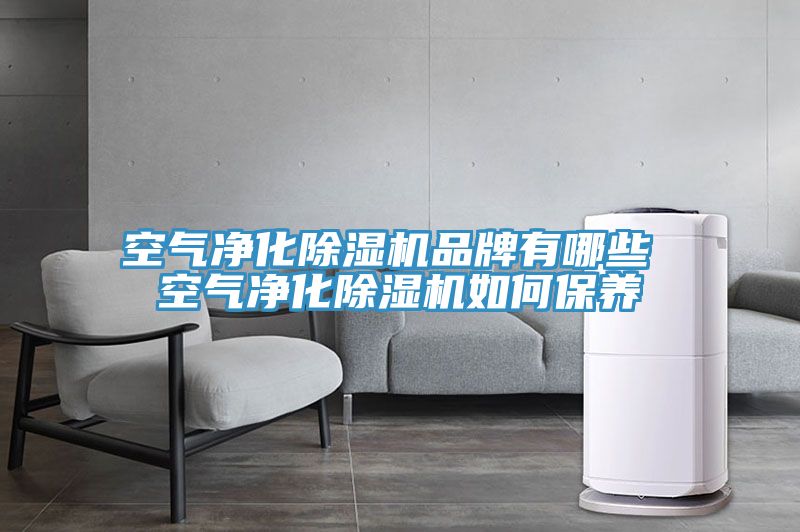 空氣凈化除濕機(jī)品牌有哪些 空氣凈化除濕機(jī)如何保養(yǎng)