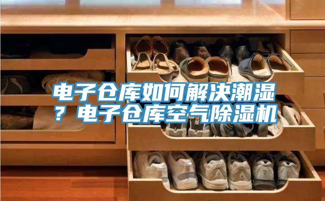 電子倉庫如何解決潮濕？電子倉庫空氣除濕機