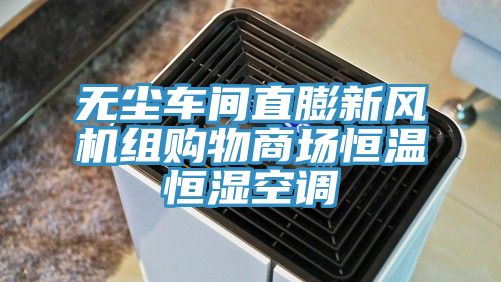 無塵車間直膨新風(fēng)機組購物商場恒溫恒濕空調(diào)