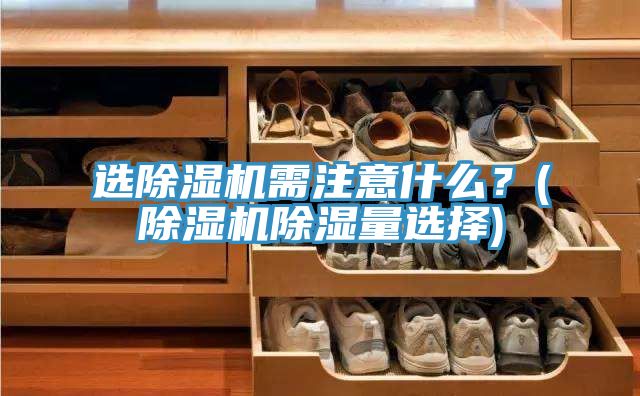 選除濕機需注意什么？(除濕機除濕量選擇)