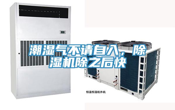潮濕氣不請(qǐng)自入，除濕機(jī)除之后快