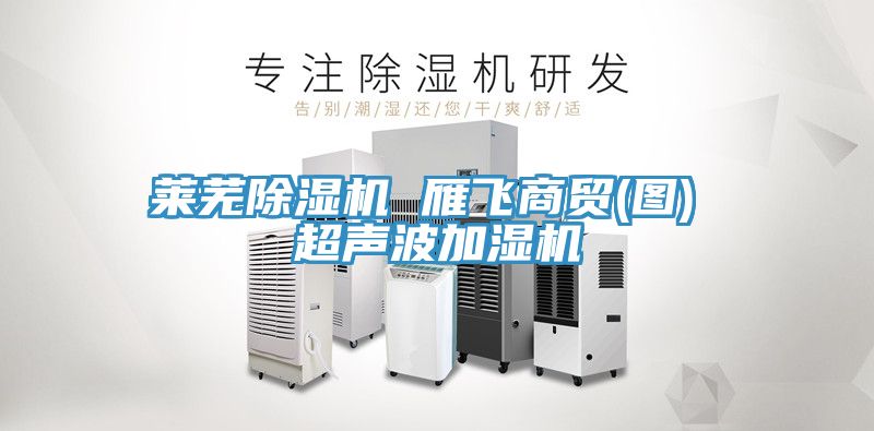 萊蕪除濕機 雁飛商貿(mào)(圖) 超聲波加濕機
