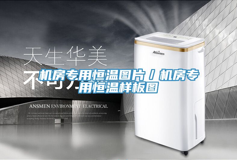 機(jī)房專(zhuān)用恒溫圖片／機(jī)房專(zhuān)用恒溫樣板圖