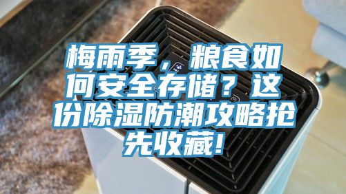 梅雨季，糧食如何安全存儲(chǔ)？這份除濕防潮攻略搶先收藏!