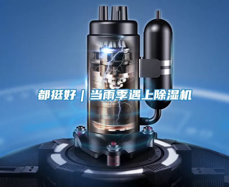 都挺好｜當(dāng)雨季遇上除濕機