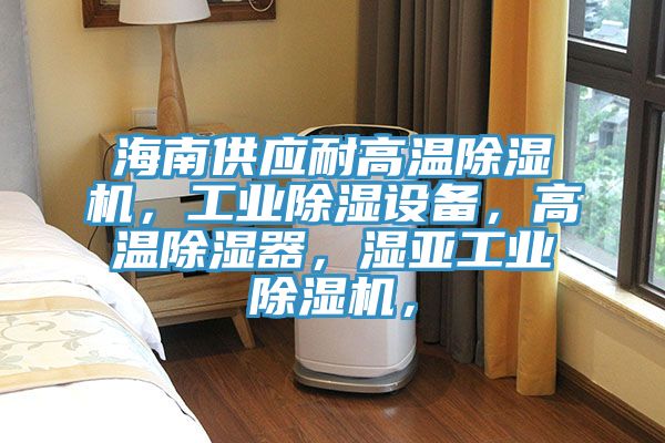 海南供應(yīng)耐高溫除濕機(jī)，工業(yè)除濕設(shè)備，高溫除濕器，濕亞工業(yè)除濕機(jī)，