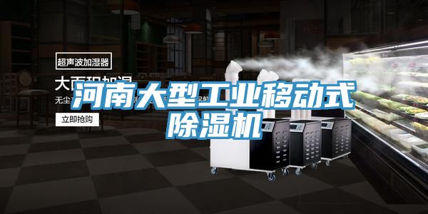 河南大型工業(yè)移動式除濕機(jī)