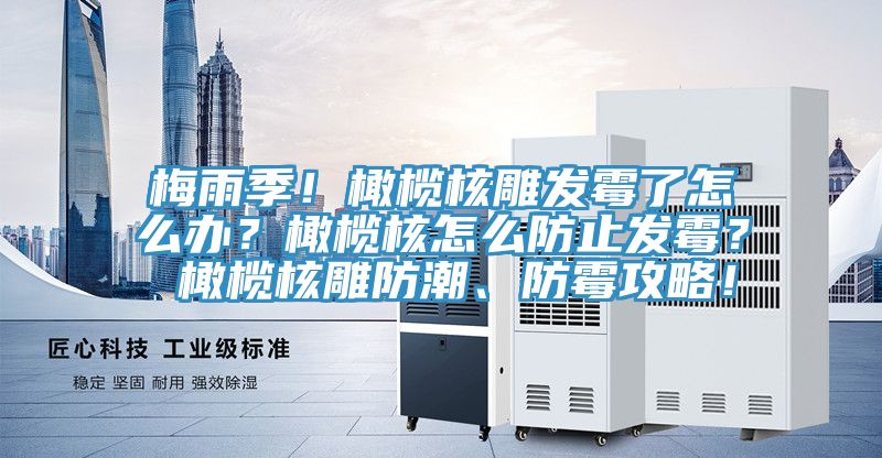 梅雨季！橄欖核雕發(fā)霉了怎么辦？橄欖核怎么防止發(fā)霉？ 橄欖核雕防潮、防霉攻略！