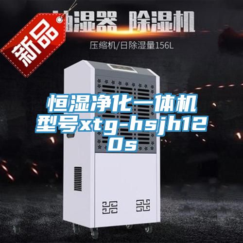 恒濕凈化一體機(jī)型號(hào)xtg-hsjh120s