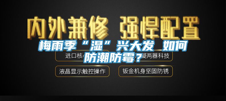 梅雨季“濕”興大發(fā) 如何防潮防霉？