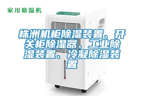 株洲機柜除濕裝置、開關柜除濕器、工業(yè)除濕裝置、冷凝除濕裝置