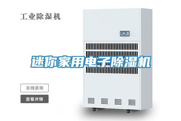 迷你家用電子除濕機
