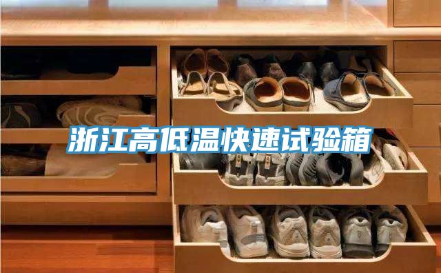 浙江高低溫快速試驗(yàn)箱