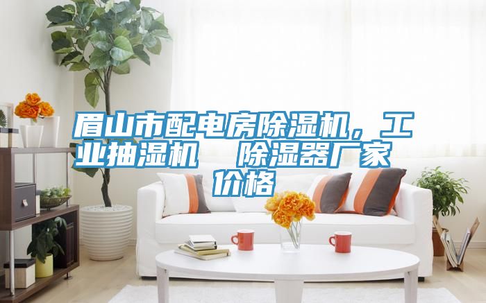 眉山市配電房除濕機(jī)，工業(yè)抽濕機(jī)  除濕器廠家 價格