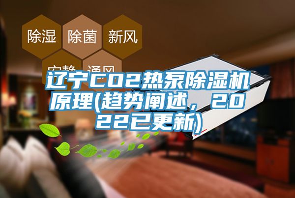 遼寧CO2熱泵除濕機(jī)原理(趨勢(shì)闡述，2022已更新)