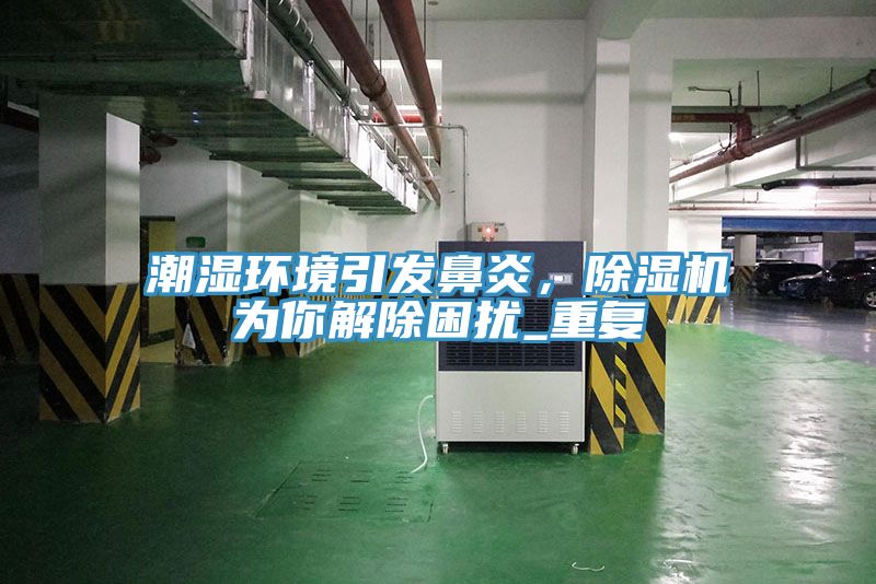 潮濕環(huán)境引發(fā)鼻炎，除濕機(jī)為你解除困擾_重復(fù)
