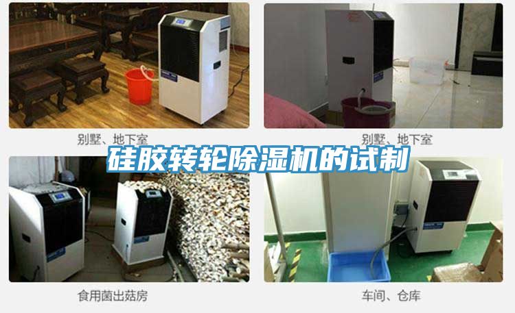 硅膠轉(zhuǎn)輪除濕機(jī)的試制