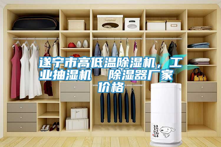 遂寧市高低溫除濕機，工業(yè)抽濕機  除濕器廠家 價格