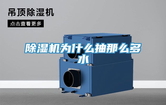 除濕機(jī)為什么抽那么多水