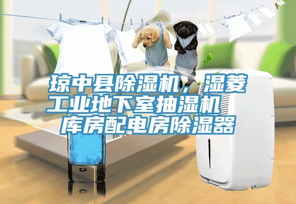 瓊中縣除濕機(jī)，濕菱工業(yè)地下室抽濕機(jī)  庫(kù)房配電房除濕器