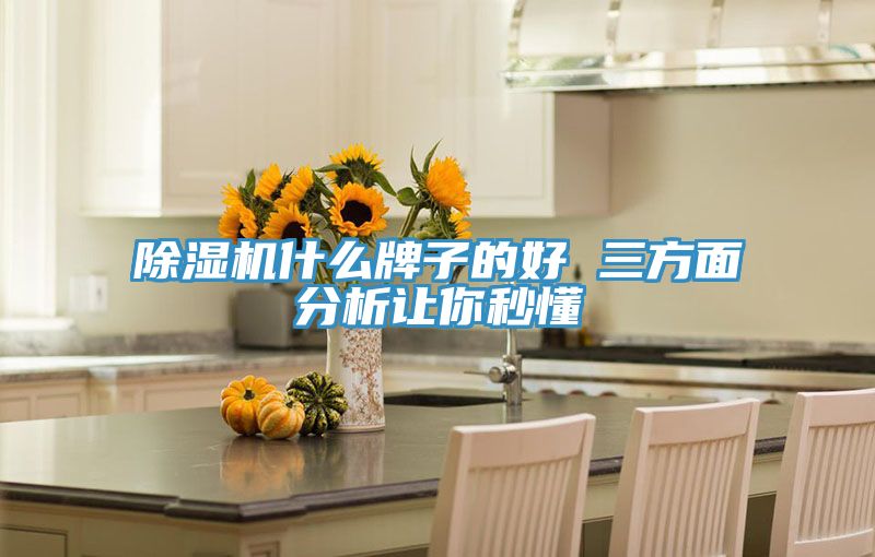 除濕機(jī)什么牌子的好 三方面分析讓你秒懂