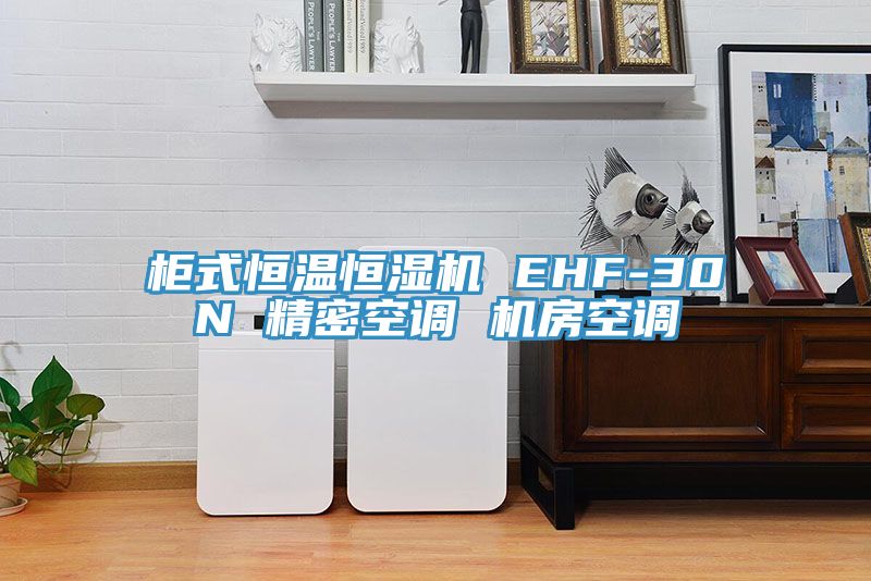 柜式恒溫恒濕機(jī) EHF-30N 精密空調(diào) 機(jī)房空調(diào)