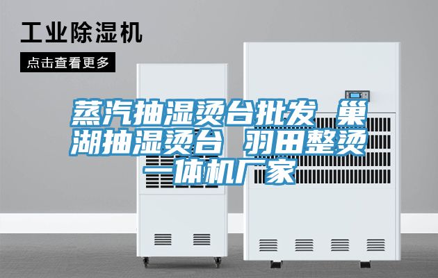 蒸汽抽濕燙臺批發(fā) 巢湖抽濕燙臺 羽田整燙一體機廠家