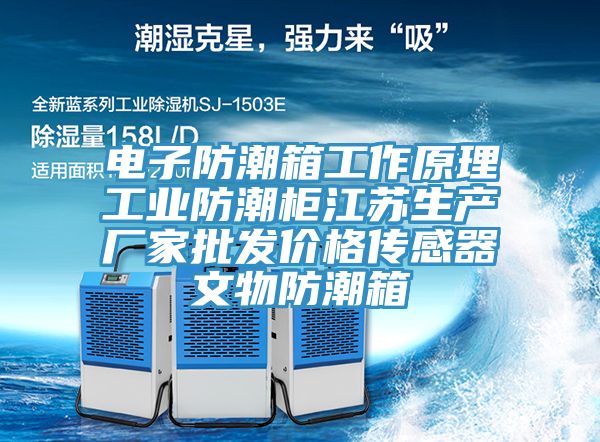 電子防潮箱工作原理工業(yè)防潮柜江蘇生產(chǎn)廠家批發(fā)價格傳感器文物防潮箱