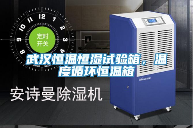 武漢恒溫恒濕試驗(yàn)箱，溫度循環(huán)恒溫箱