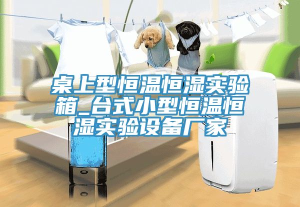 桌上型恒溫恒濕實驗箱_臺式小型恒溫恒濕實驗設(shè)備廠家