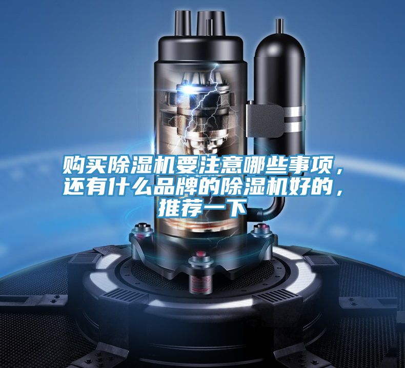 購買除濕機(jī)要注意哪些事項(xiàng)，還有什么品牌的除濕機(jī)好的，推薦一下