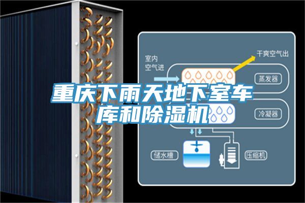 重慶下雨天地下室車庫和除濕機(jī)