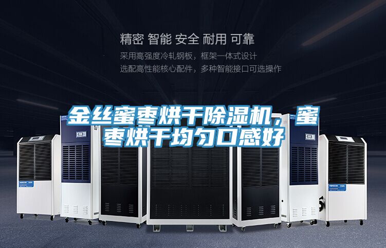 金絲蜜棗烘干除濕機(jī)，蜜棗烘干均勻口感好