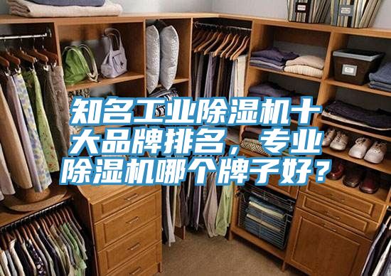 知名工業(yè)除濕機十大品牌排名，專業(yè)除濕機哪個牌子好？