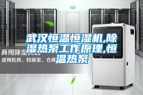 武漢恒溫恒濕機(jī),除濕熱泵工作原理,恒溫?zé)岜?></div>
								<div   id=