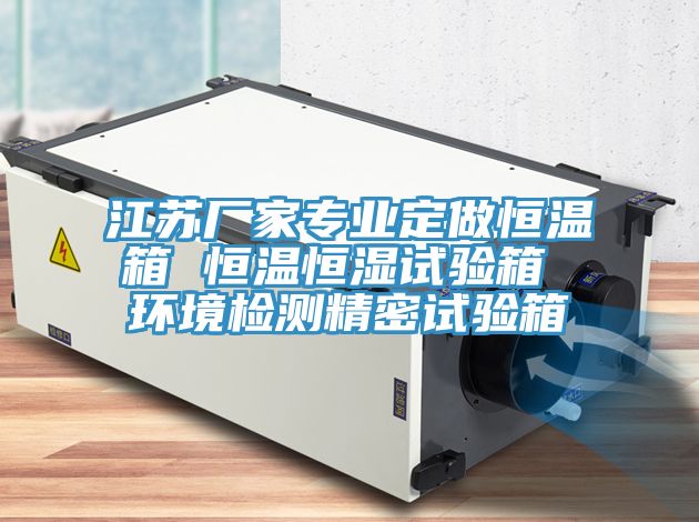 江蘇廠家專業(yè)定做恒溫箱 恒溫恒濕試驗箱 環(huán)境檢測精密試驗箱