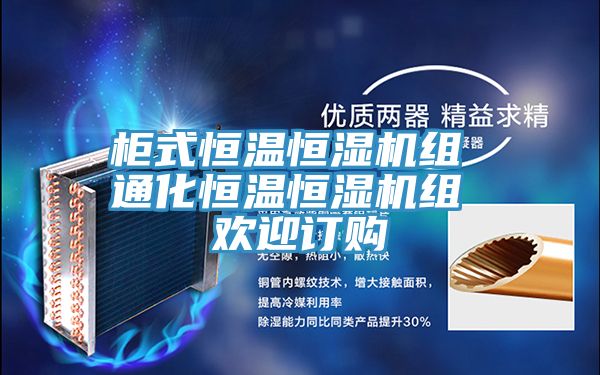 柜式恒溫恒濕機(jī)組 通化恒溫恒濕機(jī)組 歡迎訂購