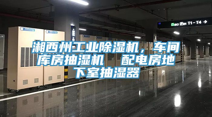 湘西州工業(yè)除濕機(jī)，車間庫房抽濕機(jī)  配電房地下室抽濕器