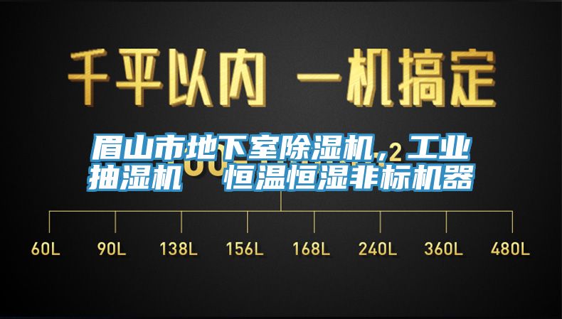 眉山市地下室除濕機，工業(yè)抽濕機  恒溫恒濕非標(biāo)機器