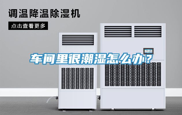 車間里很潮濕怎么辦？