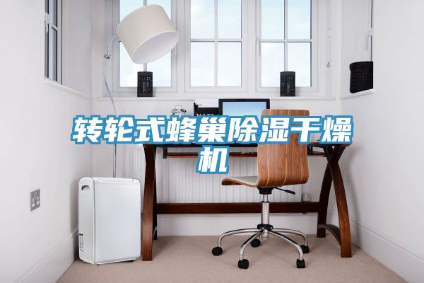 轉(zhuǎn)輪式蜂巢除濕干燥機