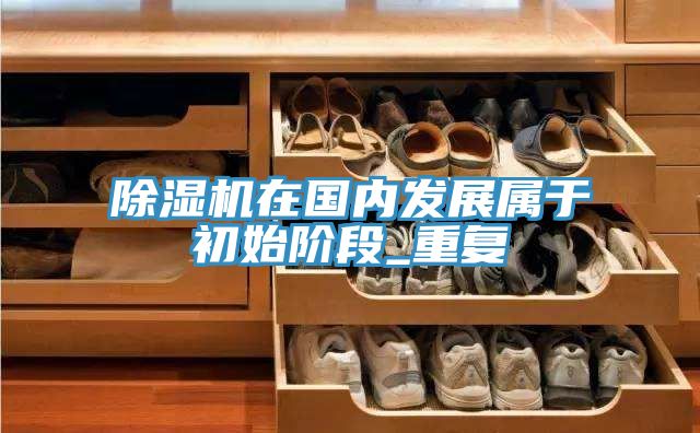除濕機(jī)在國內(nèi)發(fā)展屬于初始階段_重復(fù)