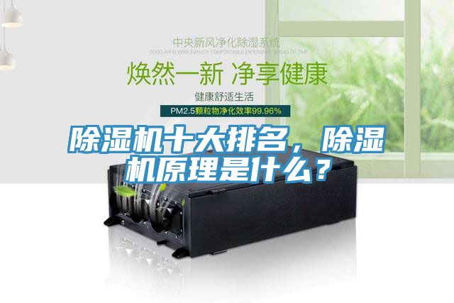 除濕機十大排名，除濕機原理是什么？