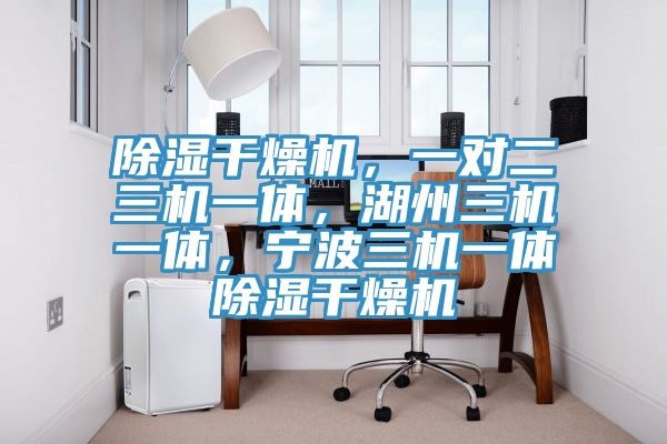 除濕干燥機，一對二三機一體，湖州三機一體，寧波三機一體除濕干燥機