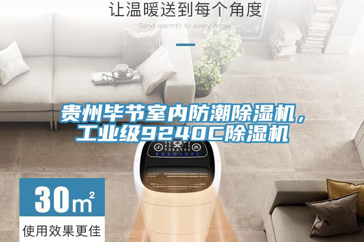貴州畢節(jié)室內(nèi)防潮除濕機，工業(yè)級9240C除濕機