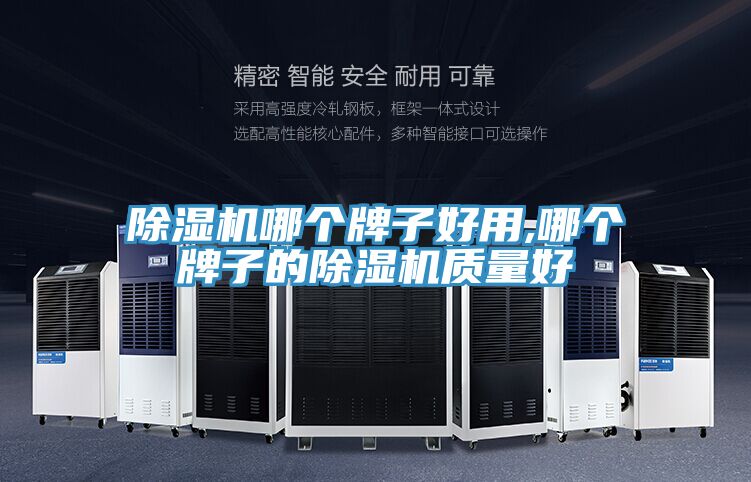 除濕機(jī)哪個牌子好用,哪個牌子的除濕機(jī)質(zhì)量好