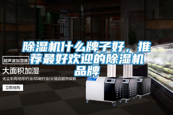 除濕機什么牌子好，推薦最好歡迎的除濕機品牌