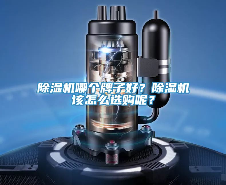 除濕機(jī)哪個(gè)牌子好？除濕機(jī)該怎么選購呢？