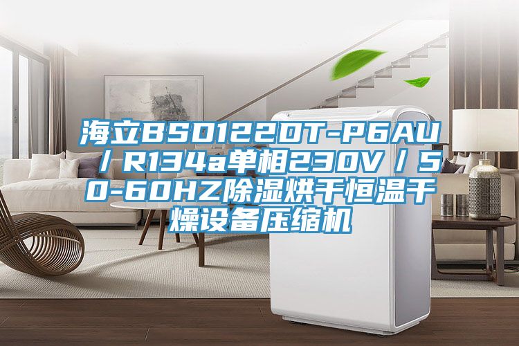 海立BSD122DT-P6AU／R134a單相230V／50-60HZ除濕烘干恒溫干燥設(shè)備壓縮機